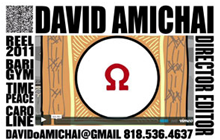 David Amichai