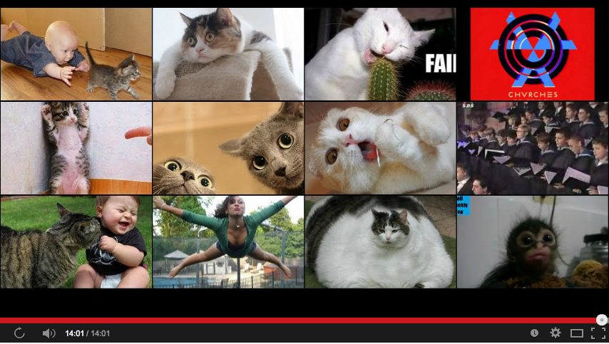 Youtube screenshot of cat video suggestions